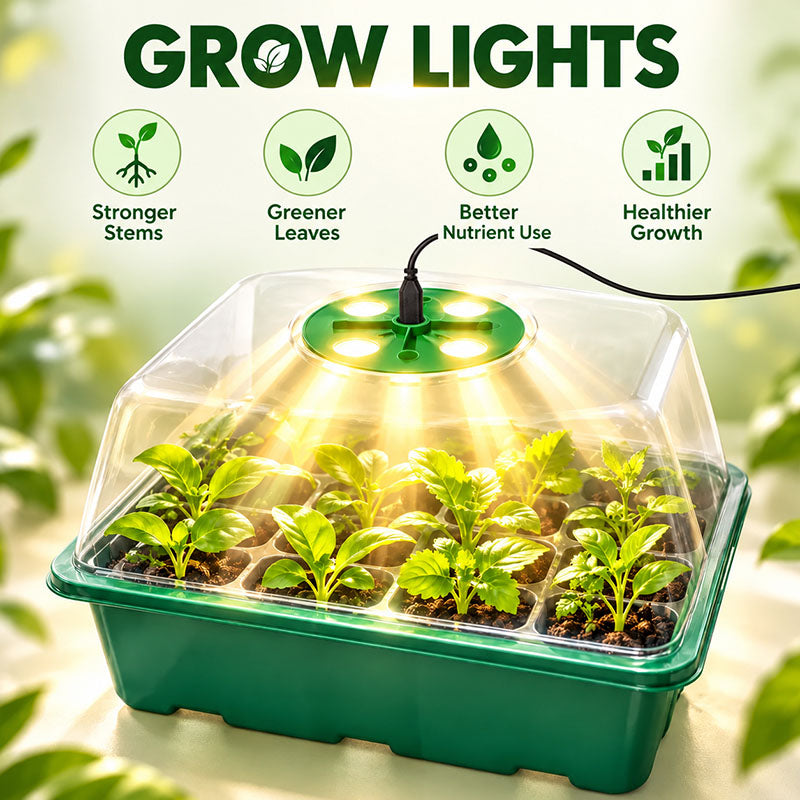 🔥🥳 HOT SALE 2026 🥳 💞 50,000+ SOLD!🎉Seed starter trays with grow light