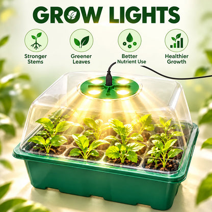 🔥🥳 HOT SALE 2026 🥳 💞 50,000+ SOLD!🎉Seed starter trays with grow light