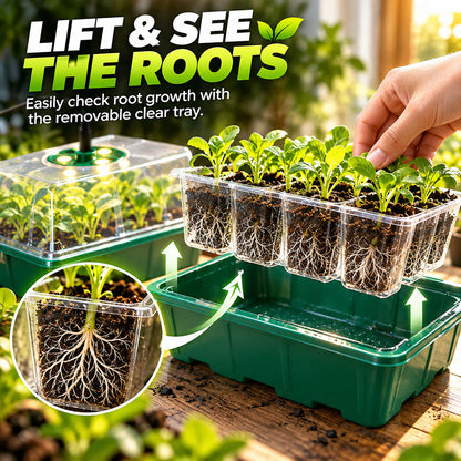 🔥🥳 HOT SALE 2026 🥳 💞 50,000+ SOLD!🎉Seed starter trays with grow light