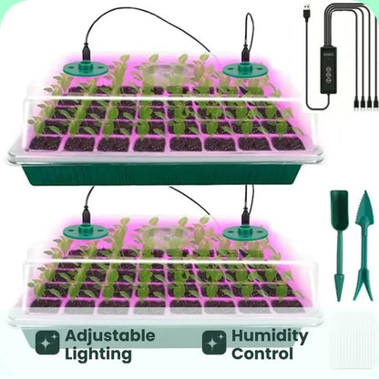 🥳 HOT SALE 2026 🥳 💞 50,000+ SOLD!🎉Seed starter trays with grow light (offer)