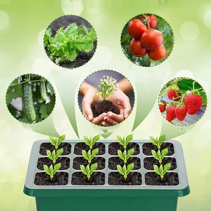 🥳 HOT SALE 2026 🥳 💞 50,000+ SOLD!🎉Seed starter trays with grow light (offer)