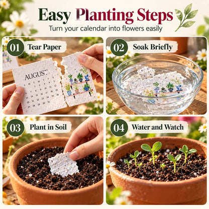 🌱 2027 Plantable Calendar – Use It. Plant It. Watch It Grow.☀（offer）