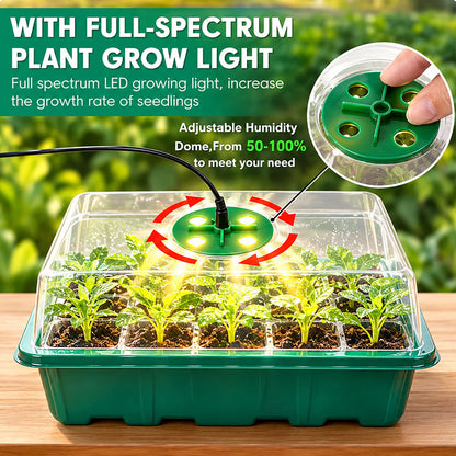 🔥🥳 HOT SALE 2026 🥳 💞 50,000+ SOLD!🎉Seed starter trays with grow light