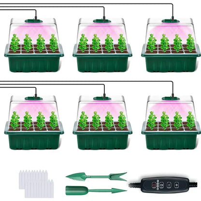 🥳 HOT SALE 2026 🥳 💞 50,000+ SOLD!🎉Seed starter trays with grow light (offer)
