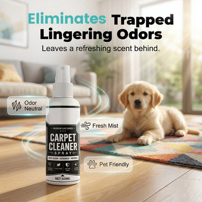 Viblitz™ Instant Carpet Stain Remover Spray – Lifts Tough Spots & Freshens Fabrics Fast